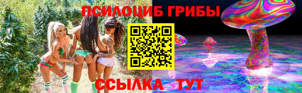 Галлюциногенные грибы прущие грибы Дедовск