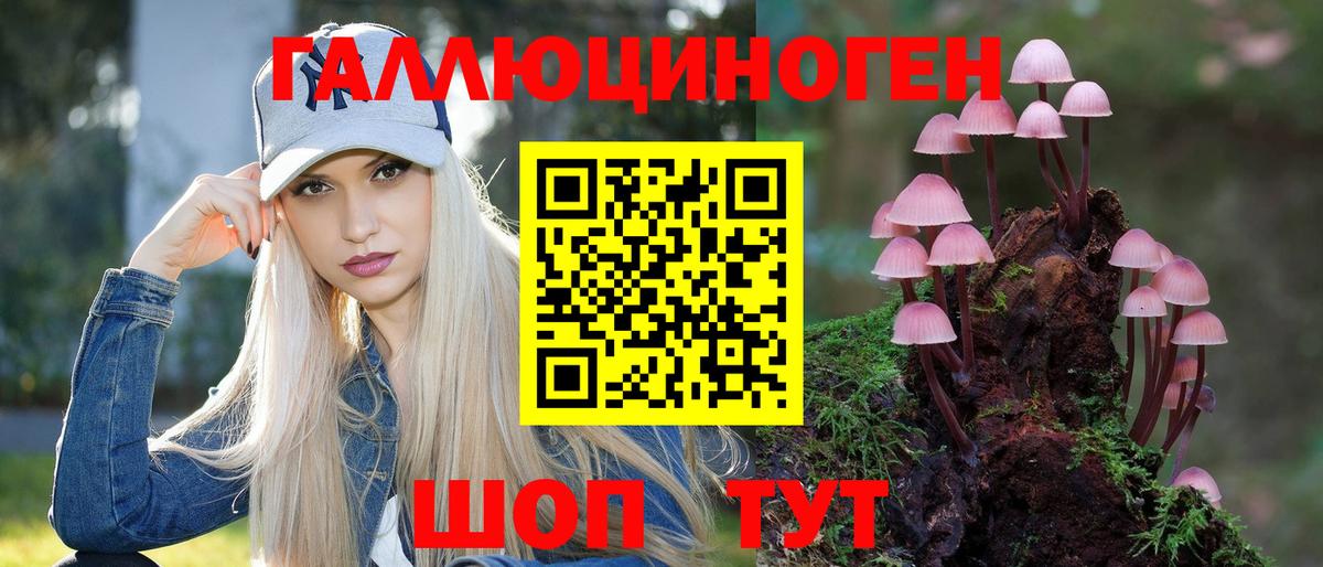 Дедовск  Галлюциногенные грибы мухоморы  Вход с VPN  Псилоцибиновые грибы GOLDEN TEACHER 